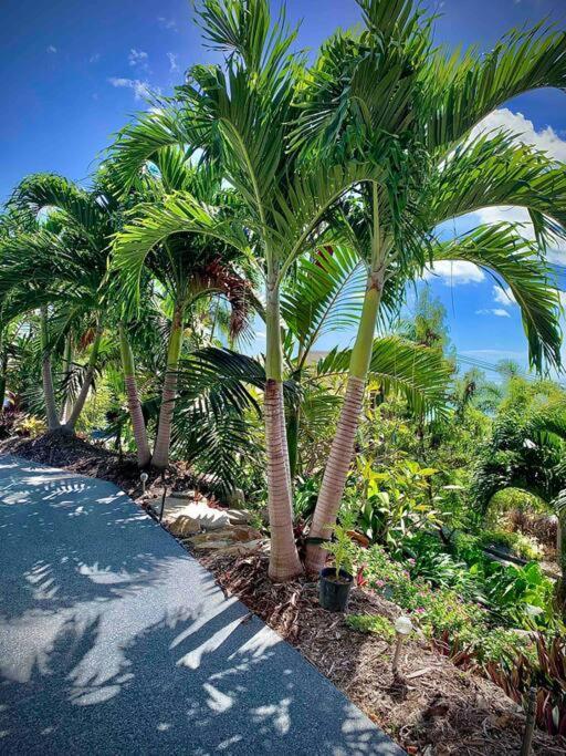 Whitsunday Dreams Apartment Еърли Бийч Екстериор снимка